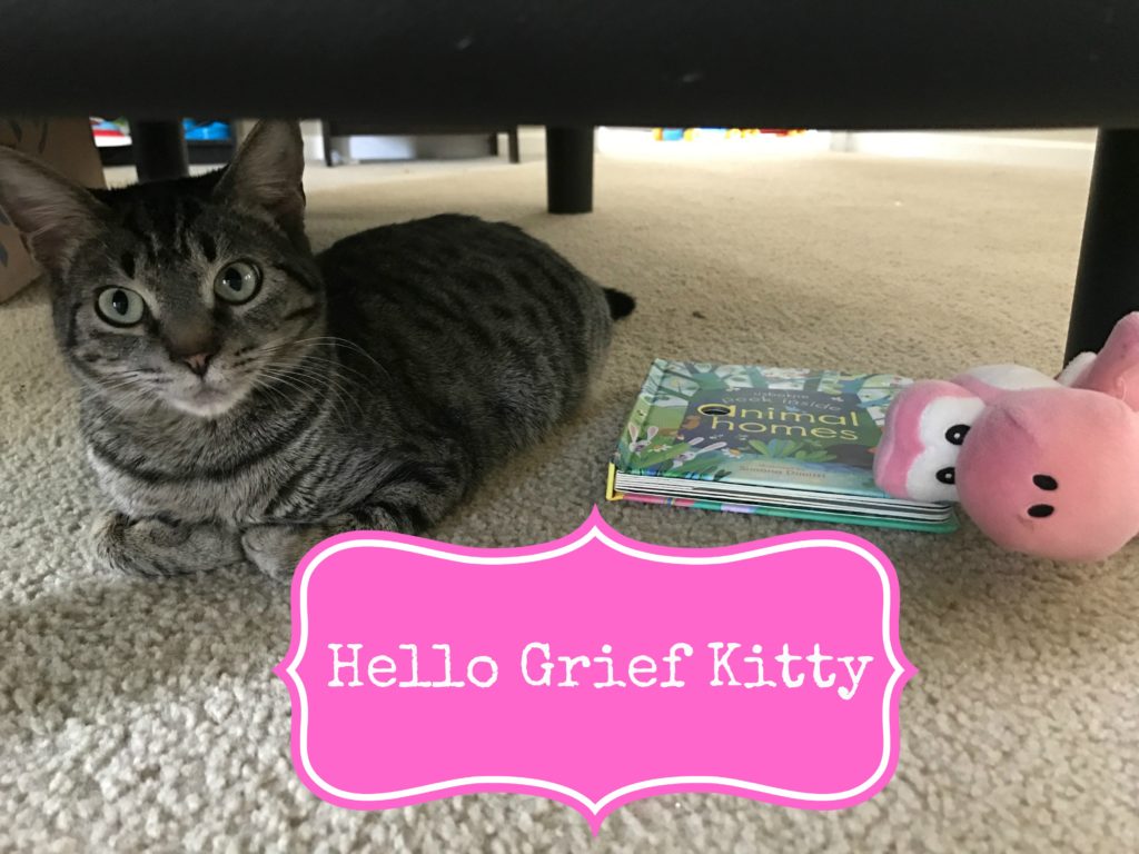 Hello Grief Kitty