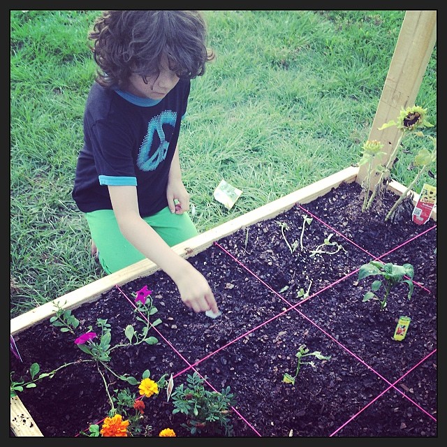 A Homeschool kid activity outside squarefoot gardening in the spring.